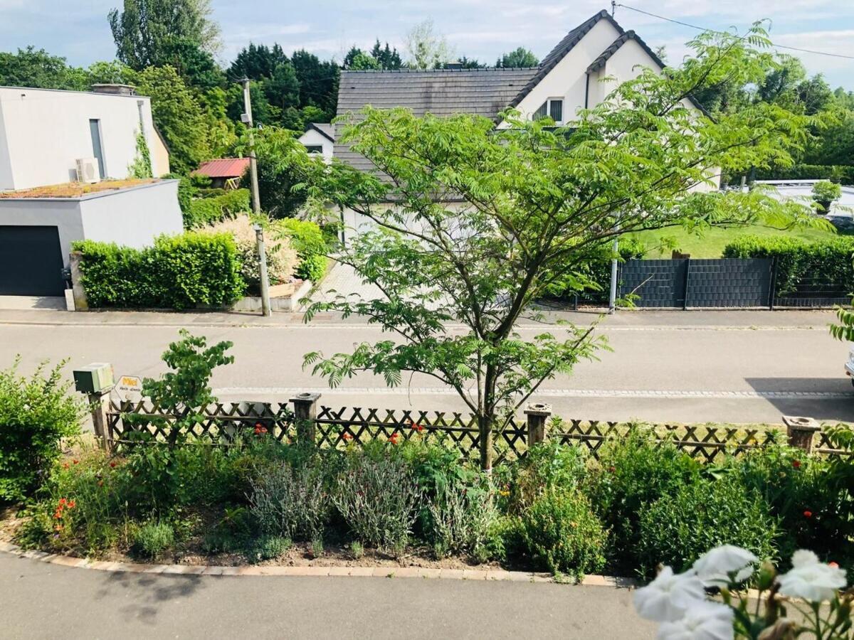 Gite de Léa Bischwiller Exterior foto
